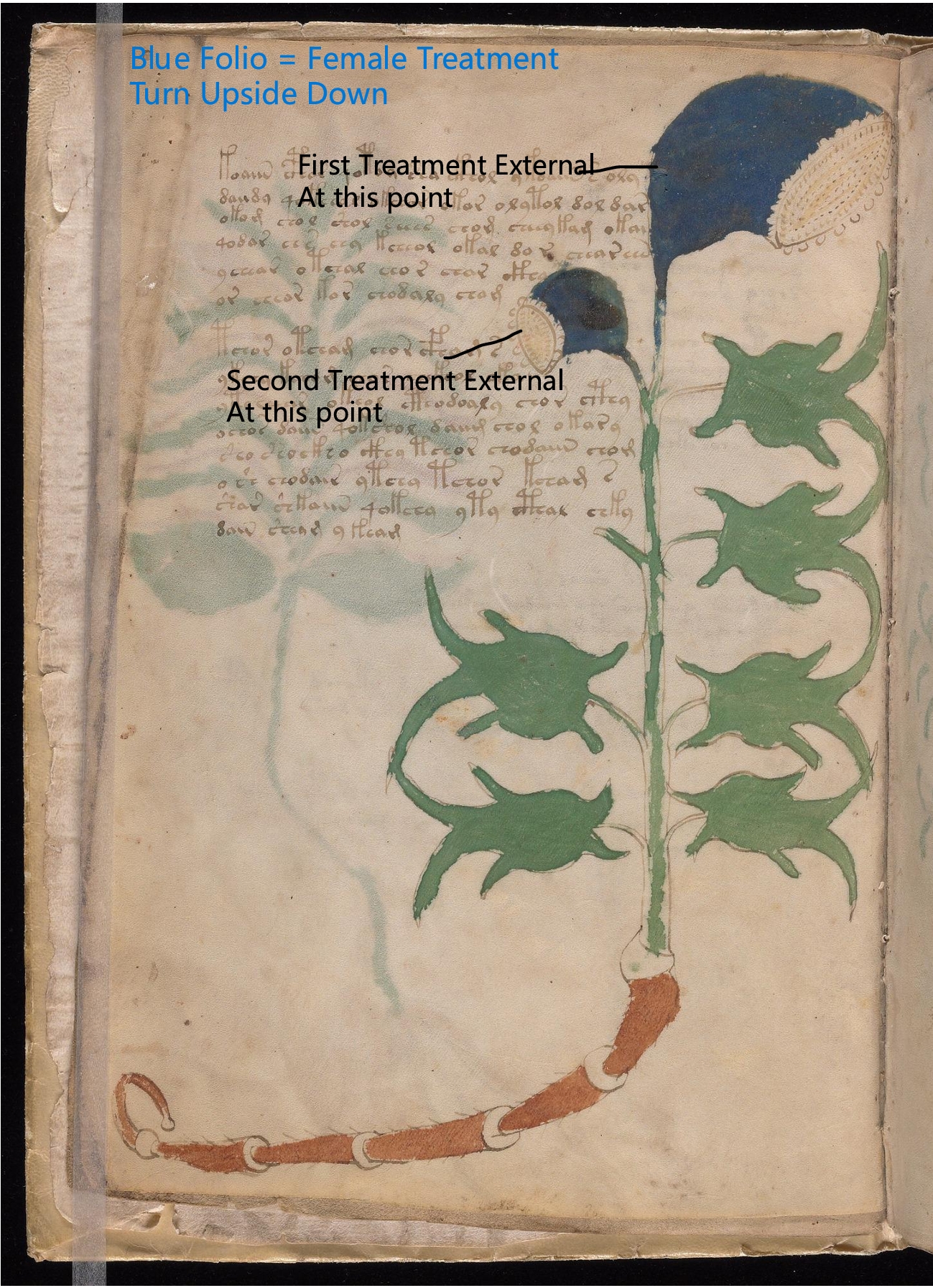 Secondary labelled diagram of Folio 3v